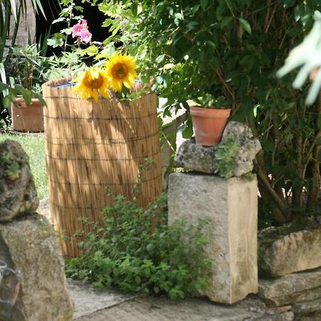 Chambres d'Hôtes de La Vallée Du Serein Annay-sur-Serein Esterno foto
