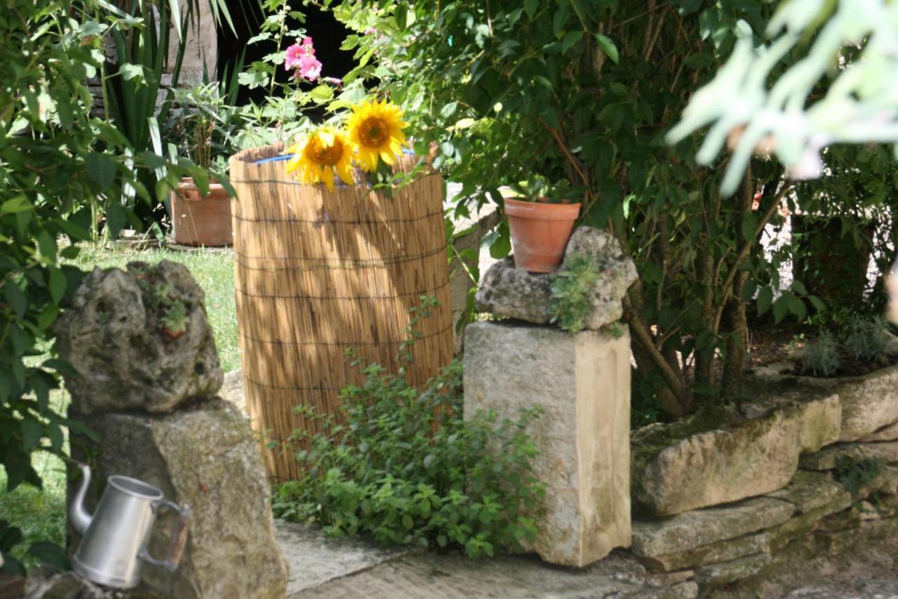 Chambres d'Hôtes de La Vallée Du Serein Annay-sur-Serein Esterno foto